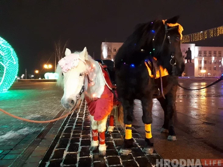 Поні Гоша і Ліна ўцяклі пашпацыраваць па цэнтры Гродна