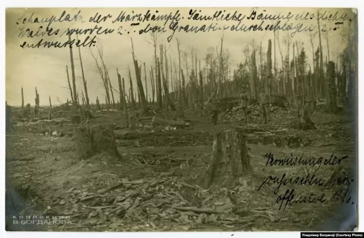 Некалі густы лес пасьля сакавіцкіх баёў 1916 году