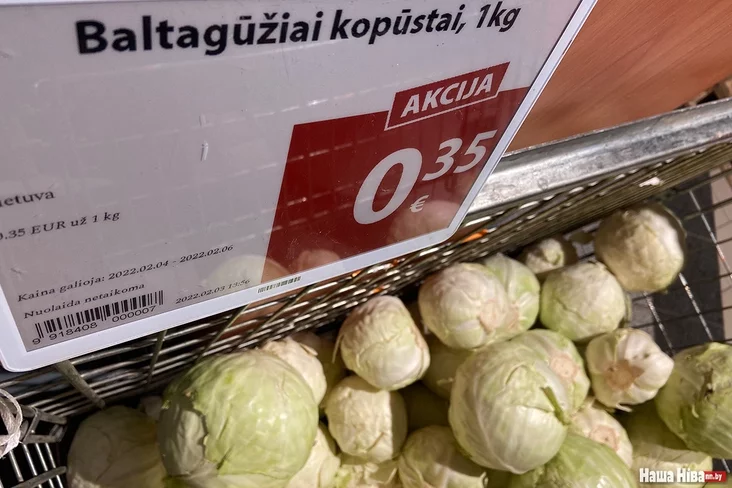 Капуста Літва Гародніна