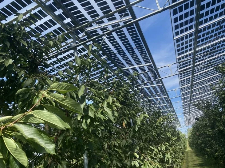 Solar panels