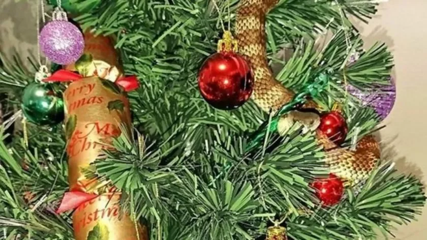 змея в елке