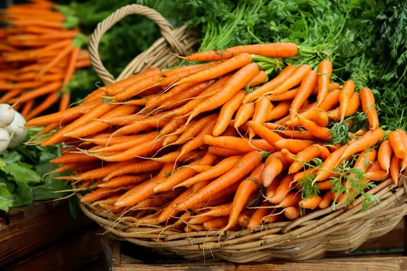 Morkva Morkov́ Carrot