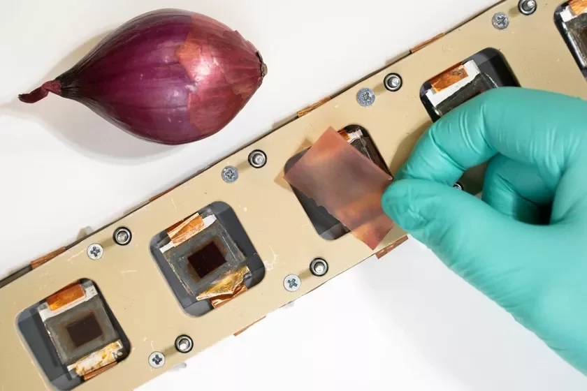red onion skin extract экстракт шелухи красного лука экстракт лупіны чырвонага лука